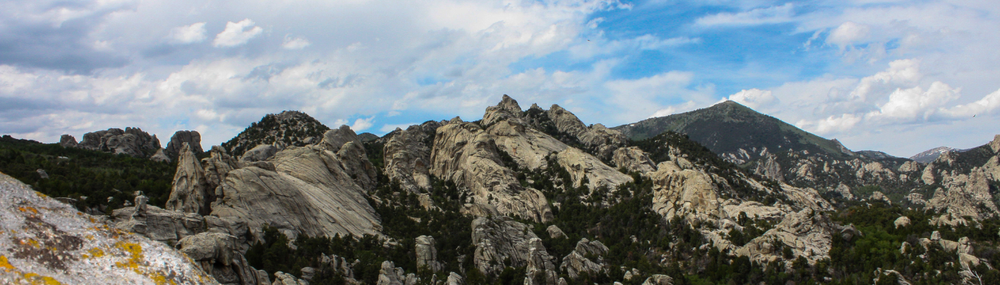 Profile banner image for ChelseaLeeAnn