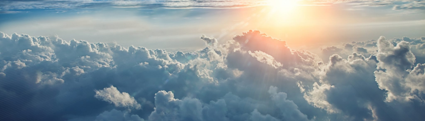 Profile banner image for Blueraxlion