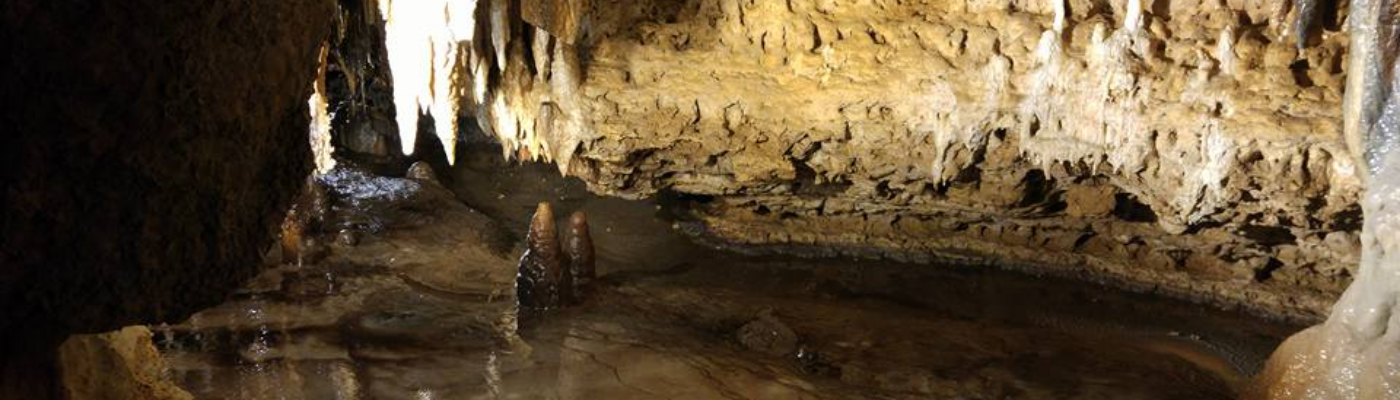 Profile banner image for hannacat1221