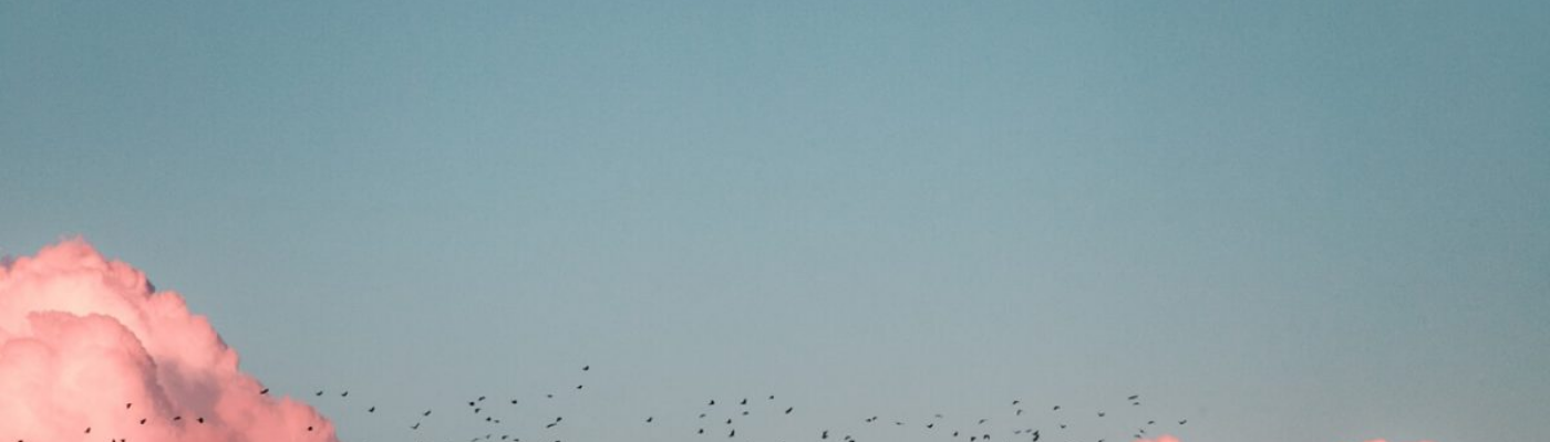 Profile banner image for _theashes_