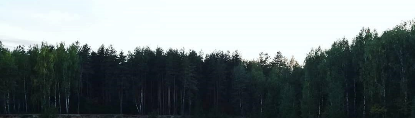 Profile banner image for DasKleinHerz