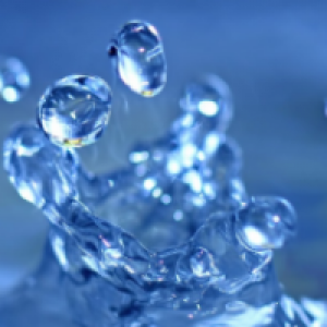 Profile avatar image for ubiquitous