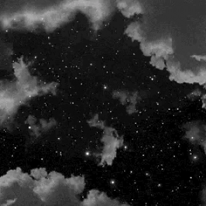 Profile avatar image for RoseWater