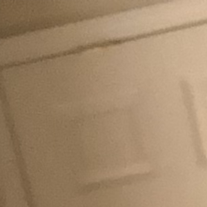 Profile avatar image for Tonya