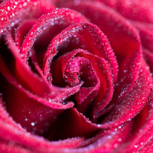 Profile avatar image for kateternity