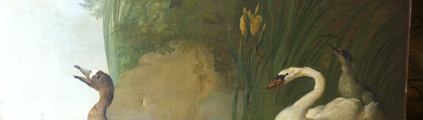 Profile banner image for dreamofpeace