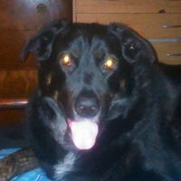 Profile avatar image for BecPearce