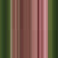 Profile avatar image for Jerry