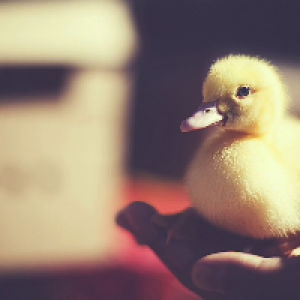 Profile avatar image for TheIsaiahCC