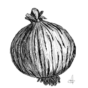 Profile avatar image for Onion3102