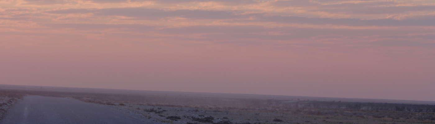 Profile banner image for RileyNoel