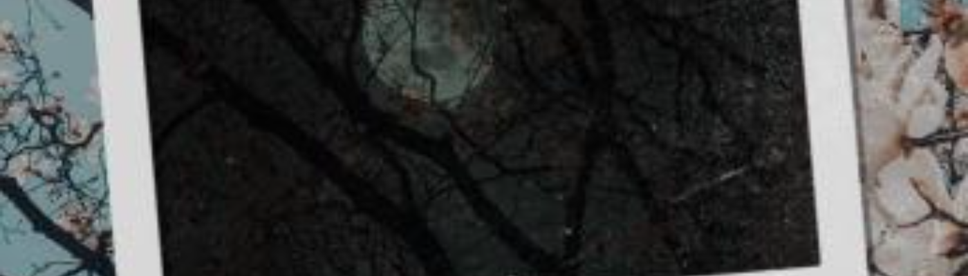 Profile banner image for jaii