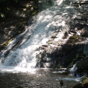 Profile avatar image for JAMiller