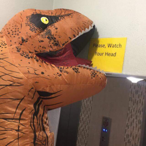 Profile avatar image for Thehungrypoet