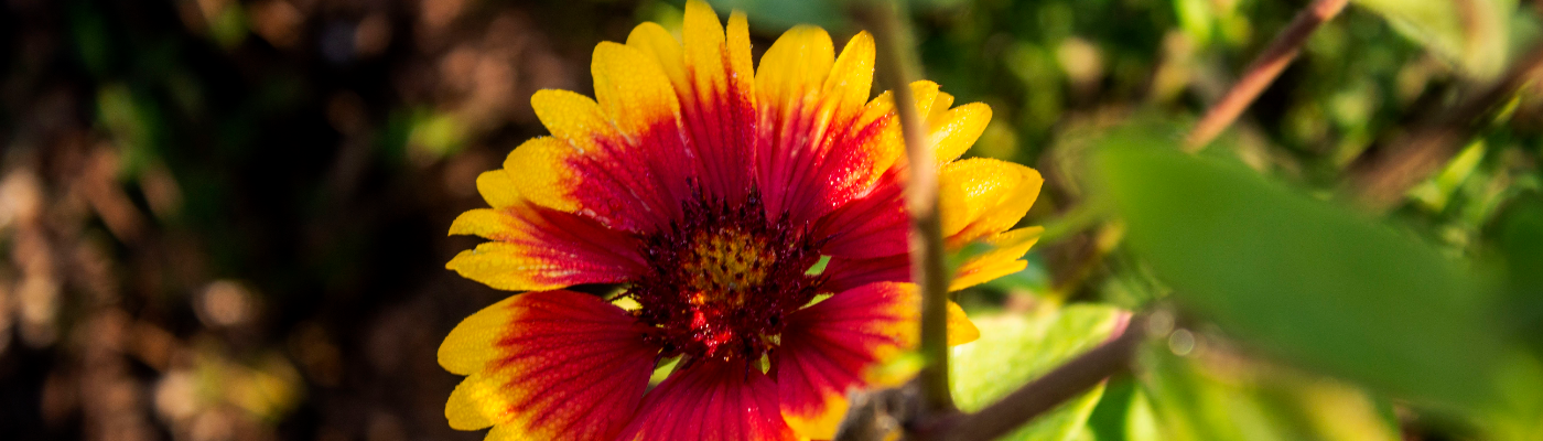 Profile banner image for aaronxhunter