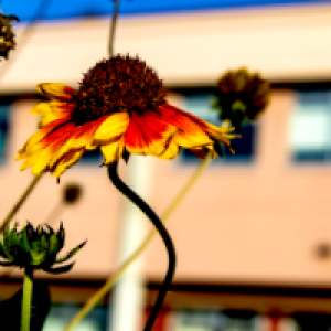 Profile avatar image for aaronxhunter