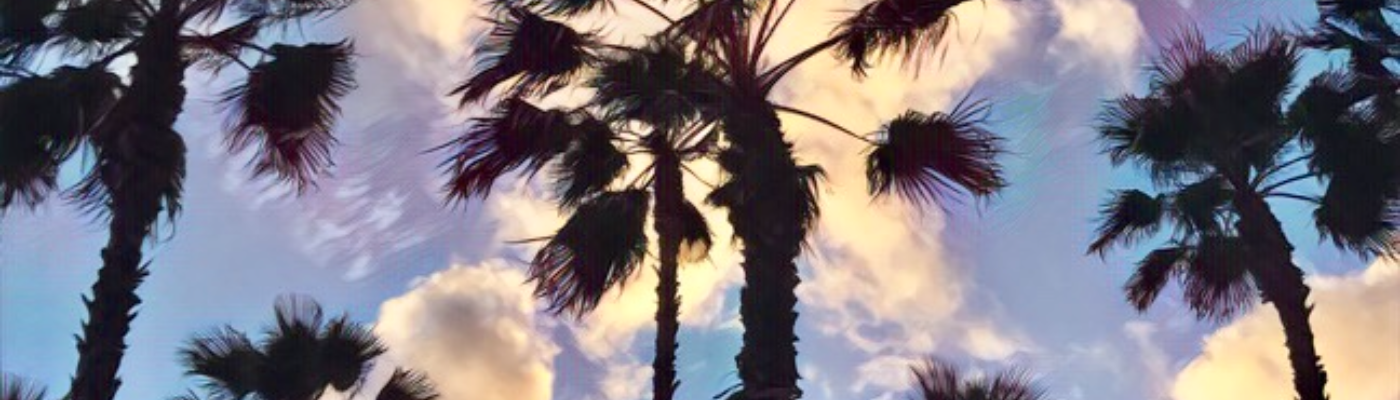 Profile banner image for BlossomWasHere