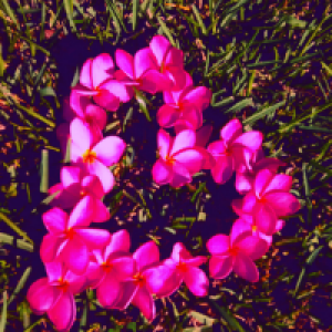 Profile avatar image for MRP