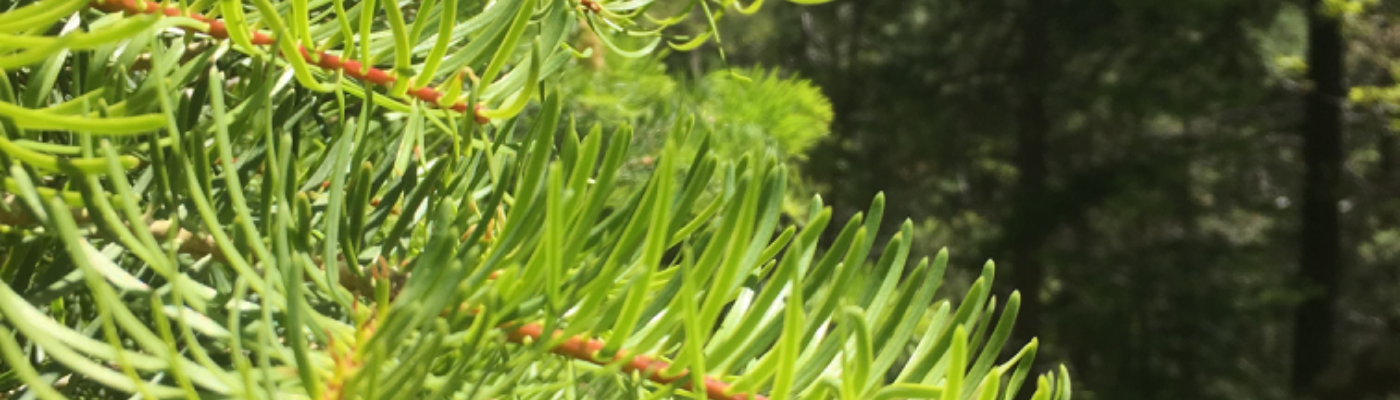 Profile banner image for Reader13