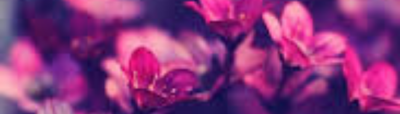 Profile banner image for GreenEyedGirl