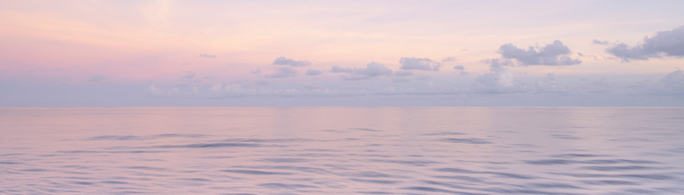 Profile banner image for aryelee