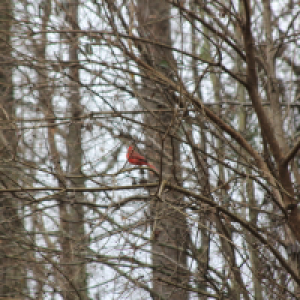 Profile avatar image for samcooley500