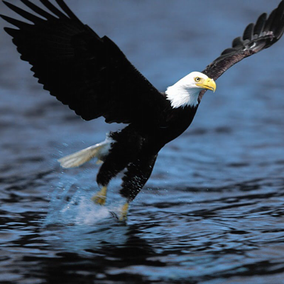 Profile avatar image for Keithcmccune