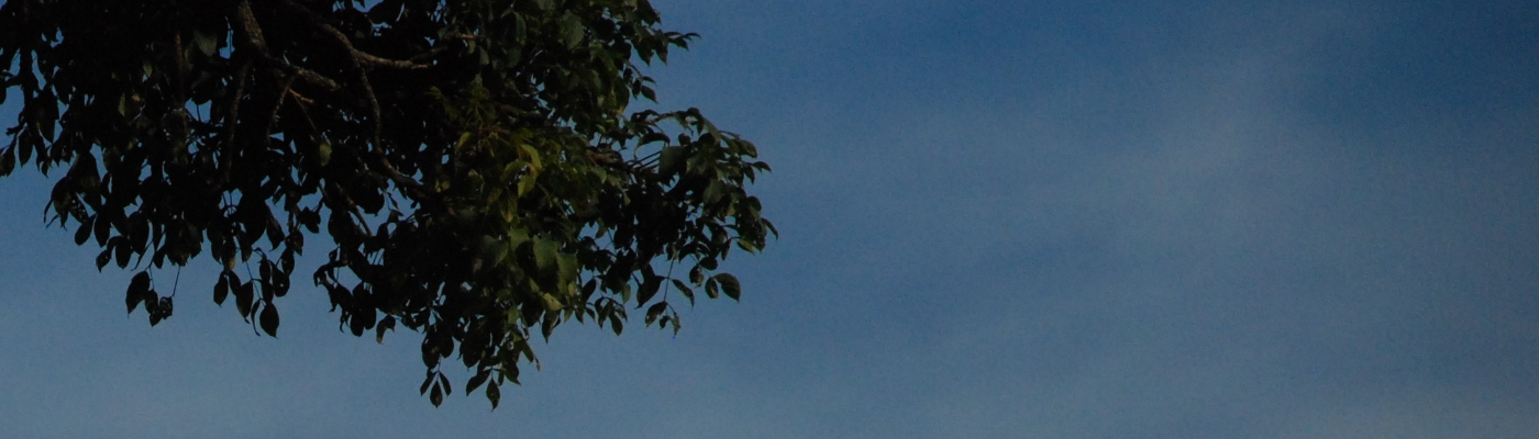 Profile banner image for orangejuice