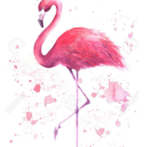 Profile avatar image for LunaHeart