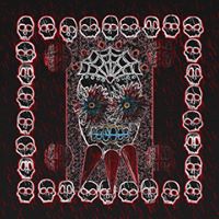 Profile avatar image for MiguelSingleton