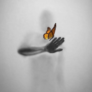 Profile avatar image for Woots