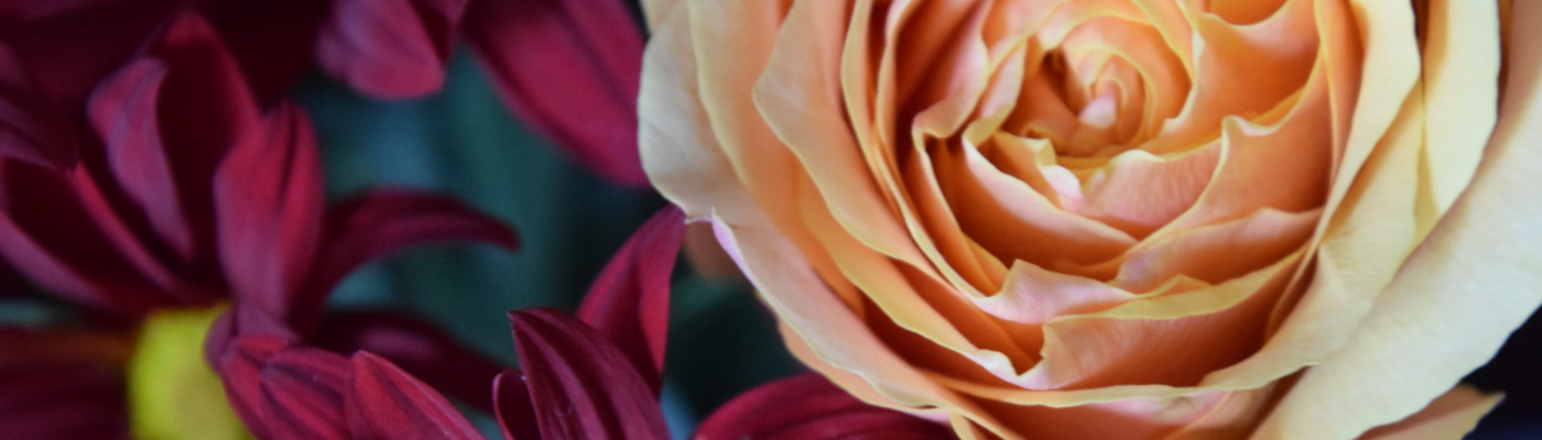 Profile banner image for DocE