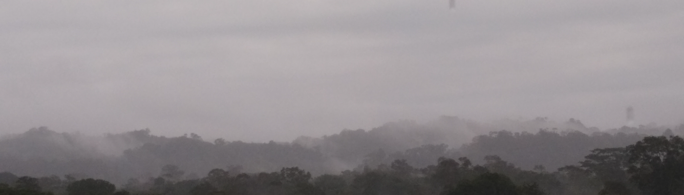 Profile banner image for querencia