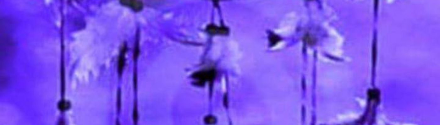 Profile banner image for Steffzack2011