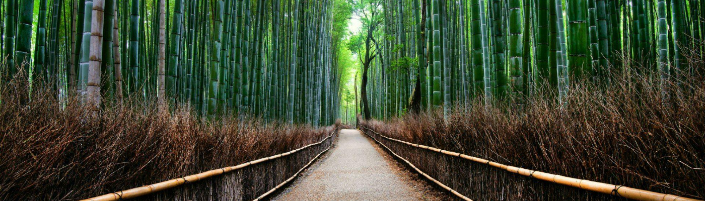 Profile banner image for Sami_Jaz