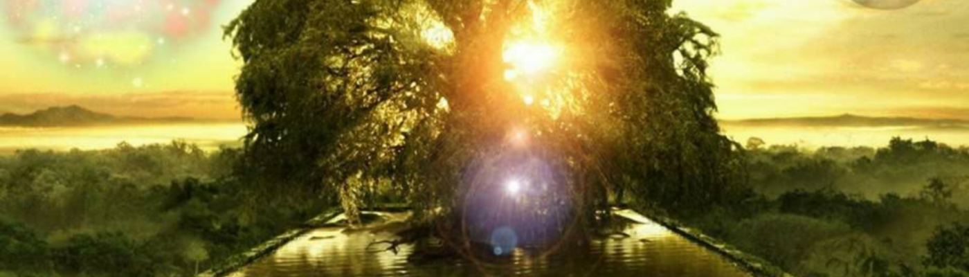 Profile banner image for bodie529