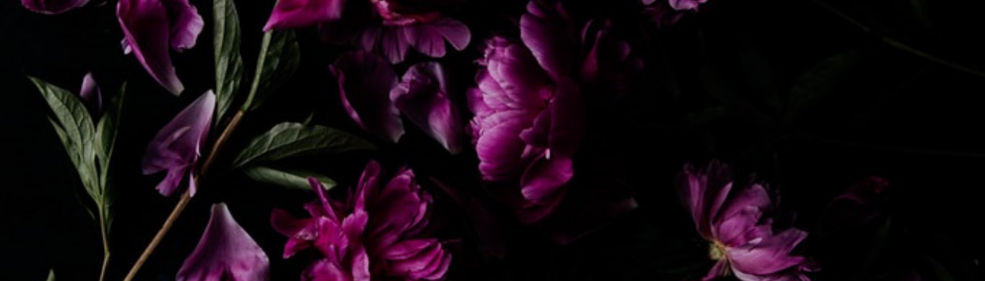 Profile banner image for Pri