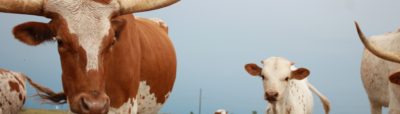 Profile banner image for gabriellerose