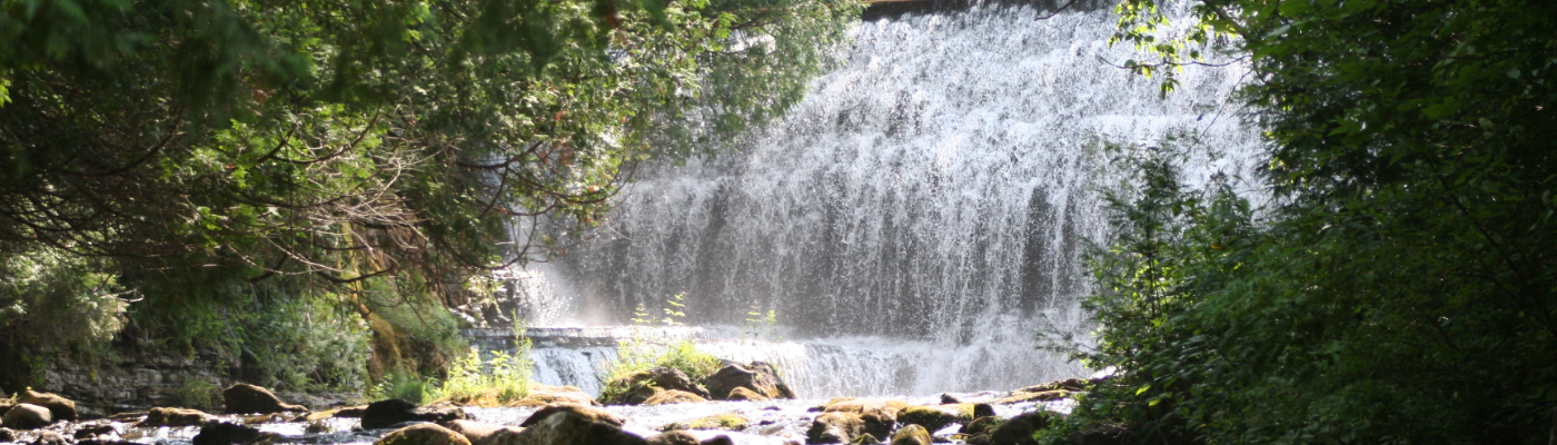 Profile banner image for kellyyreidd