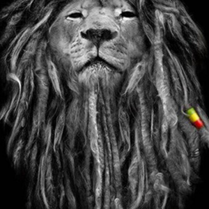 Profile avatar image for ElReyBlanco