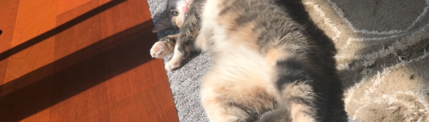 Profile banner image for MNasser27