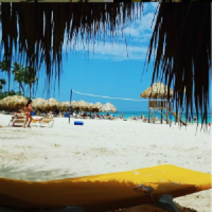 Profile avatar image for ksilver