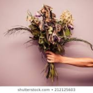 Profile avatar image for Leighinthewild