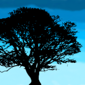 Profile avatar image for dawsyngayle