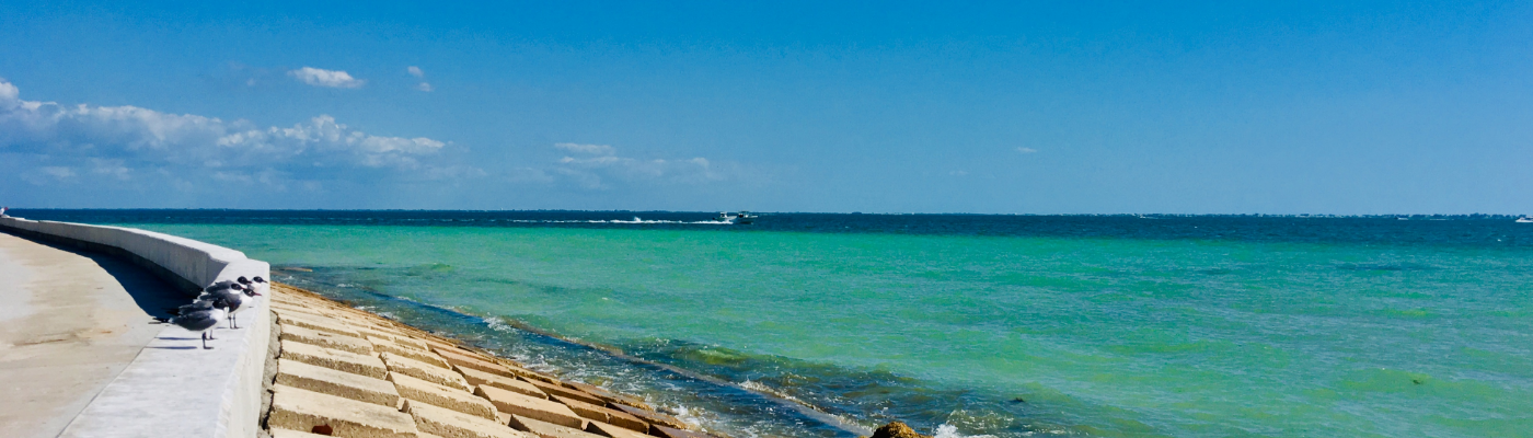 Profile banner image for AlexS