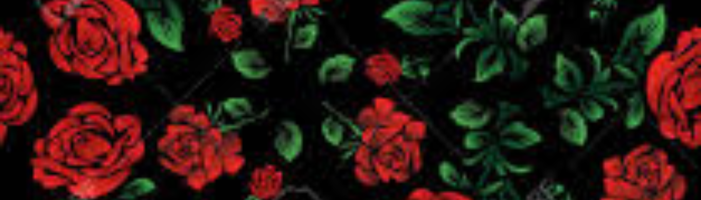 Profile banner image for SilverSkies