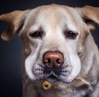 Profile avatar image for JohnSnelling