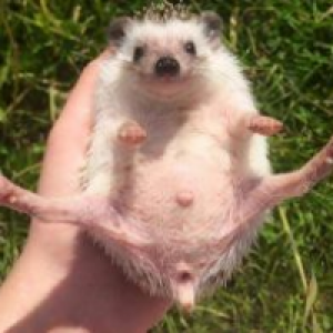 Profile avatar image for jantonia0