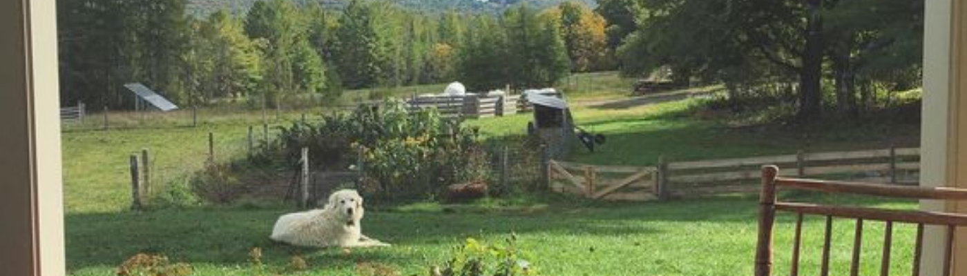 Profile banner image for mwb