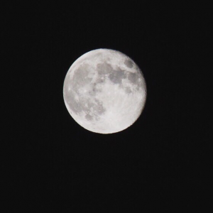 Profile avatar image for RippleRaine